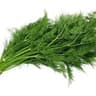 Dill