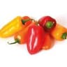 Pepper: Sweet Bite