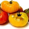Tomato: Heirloom