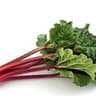 Rhubarb