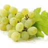 Grape: White Seedless