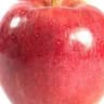 Apple/Arianne