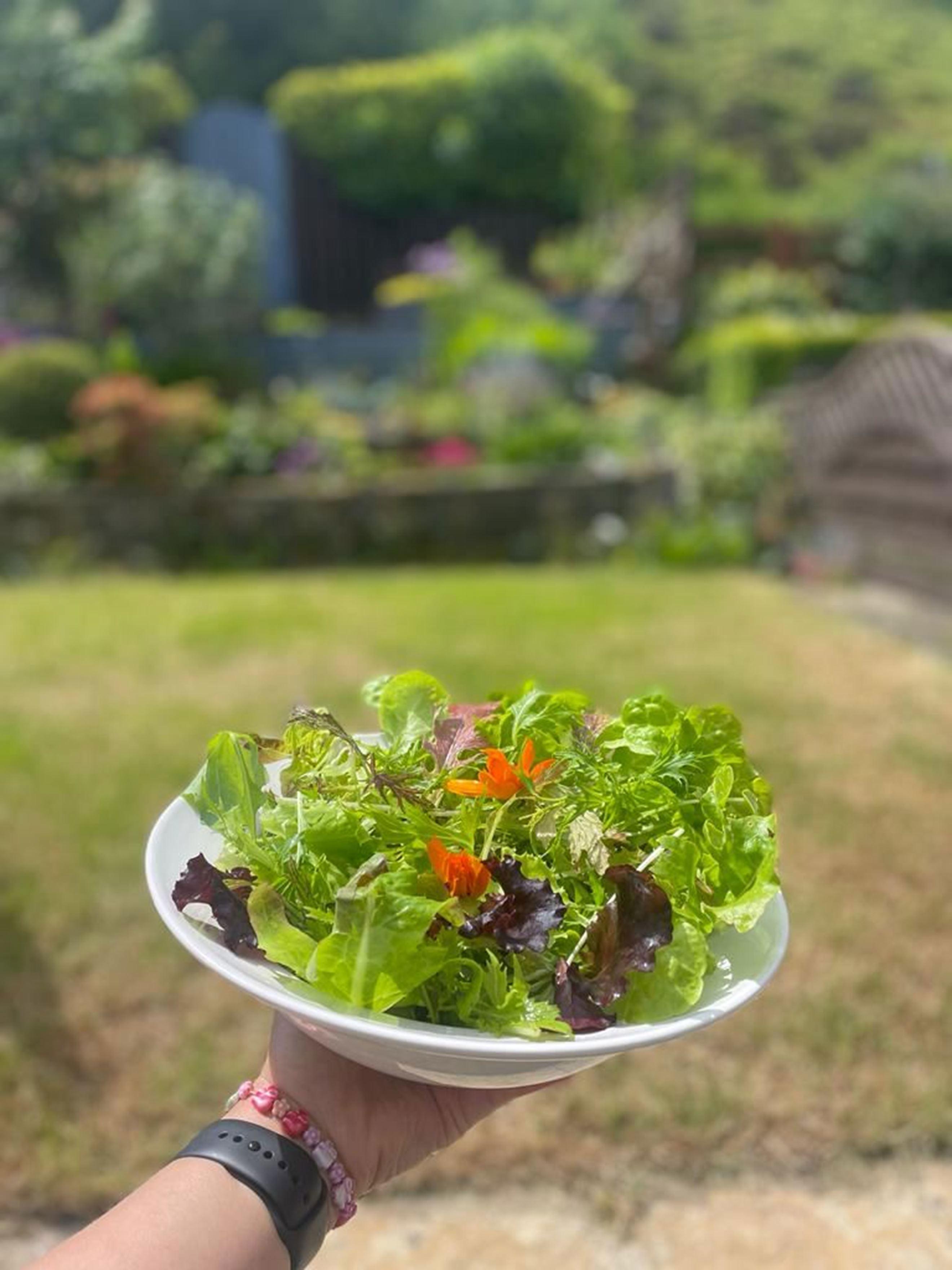 Image of the product