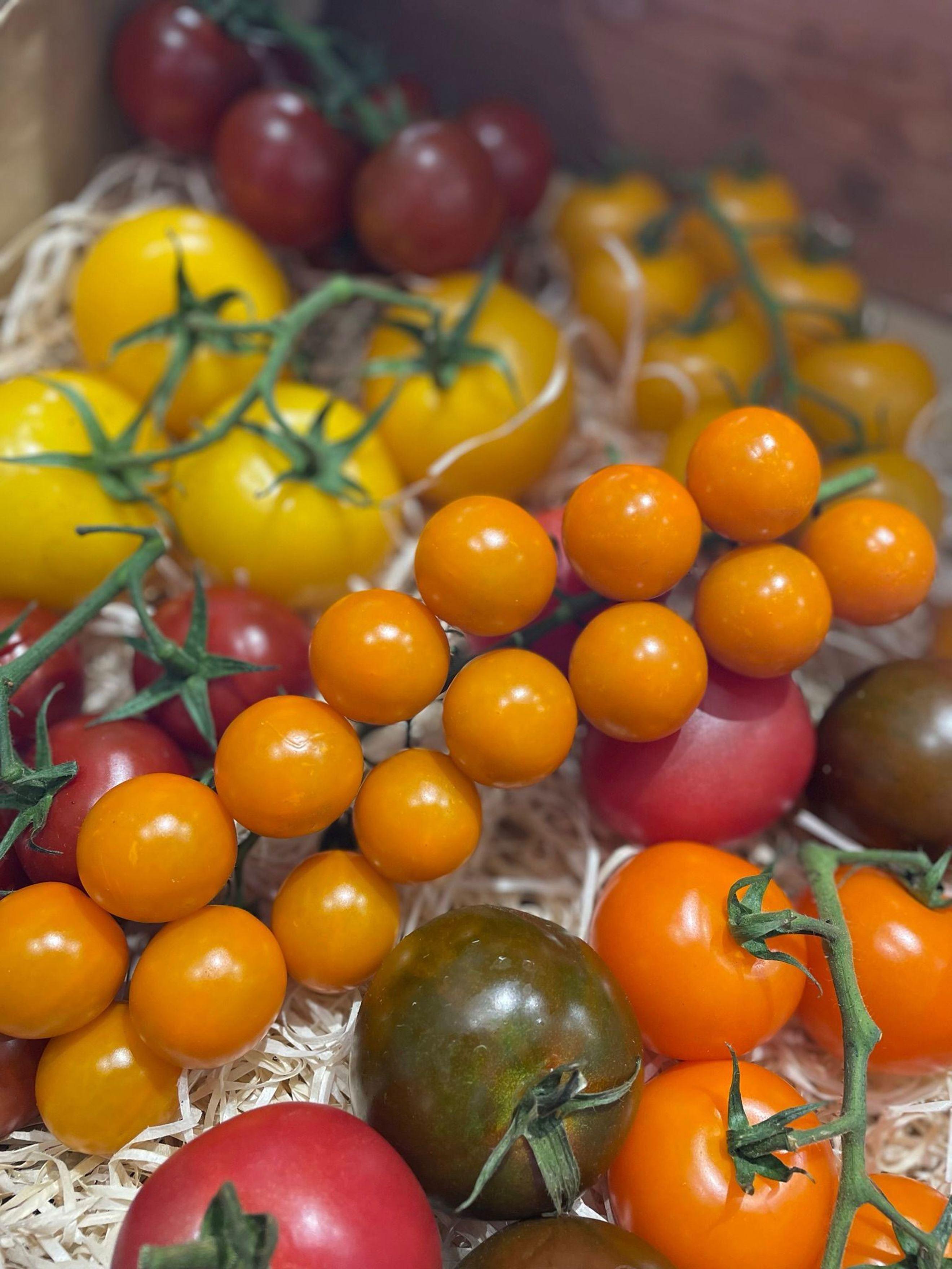 Image of the product