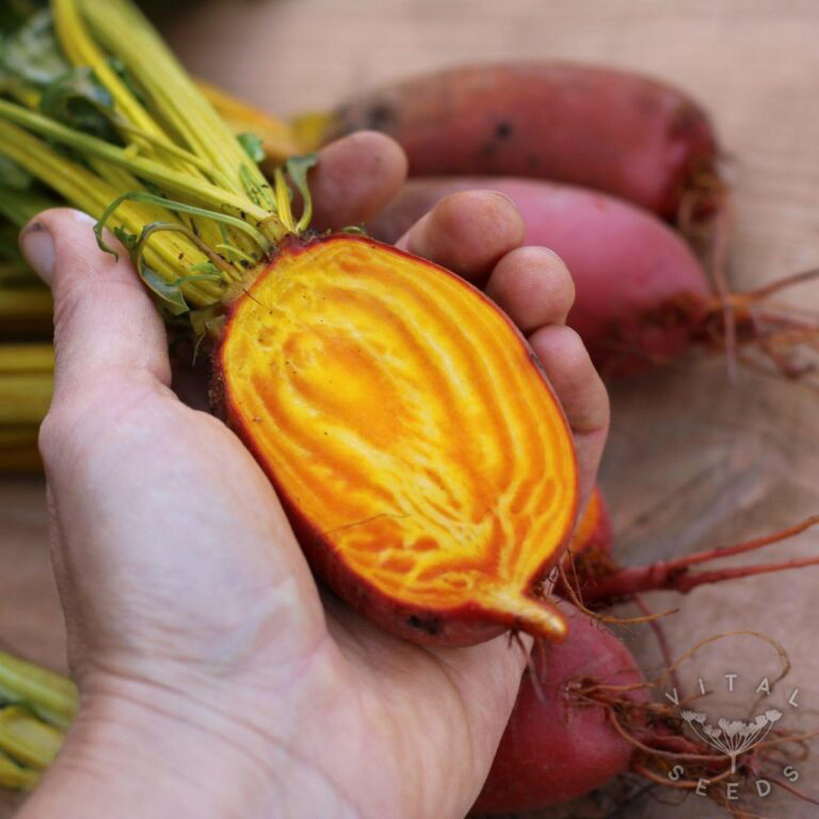 Image of the product