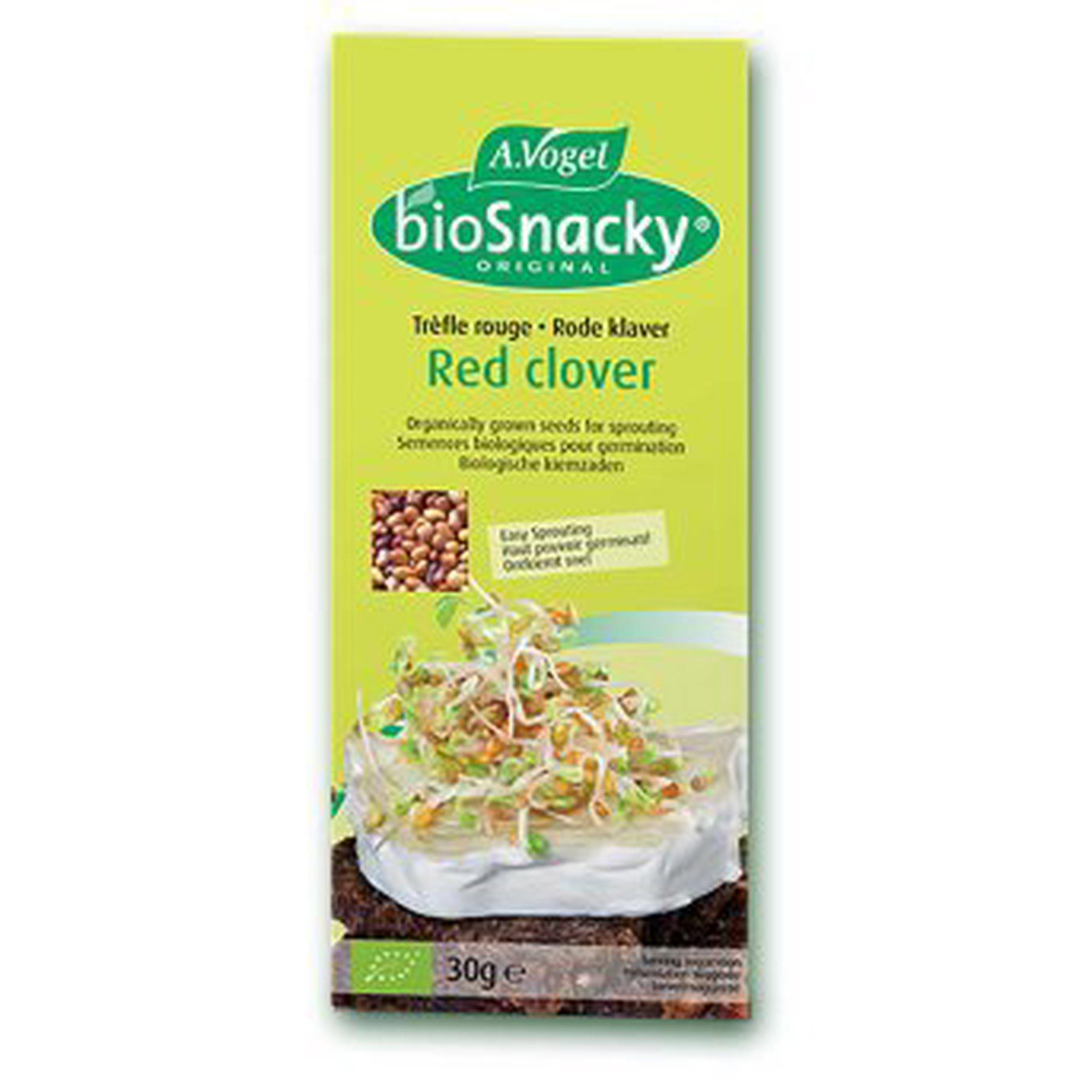 Image of the product