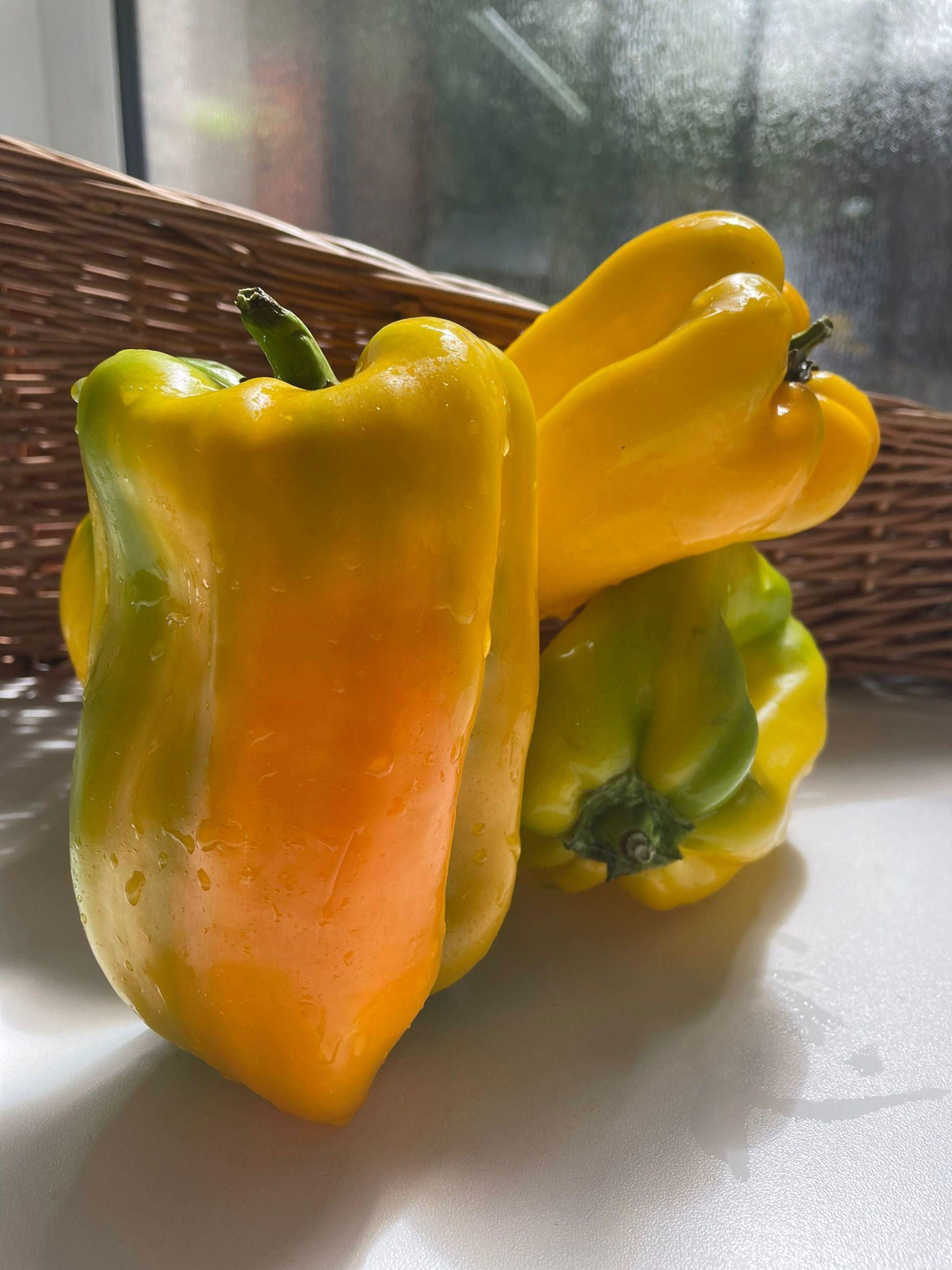 Image of the product