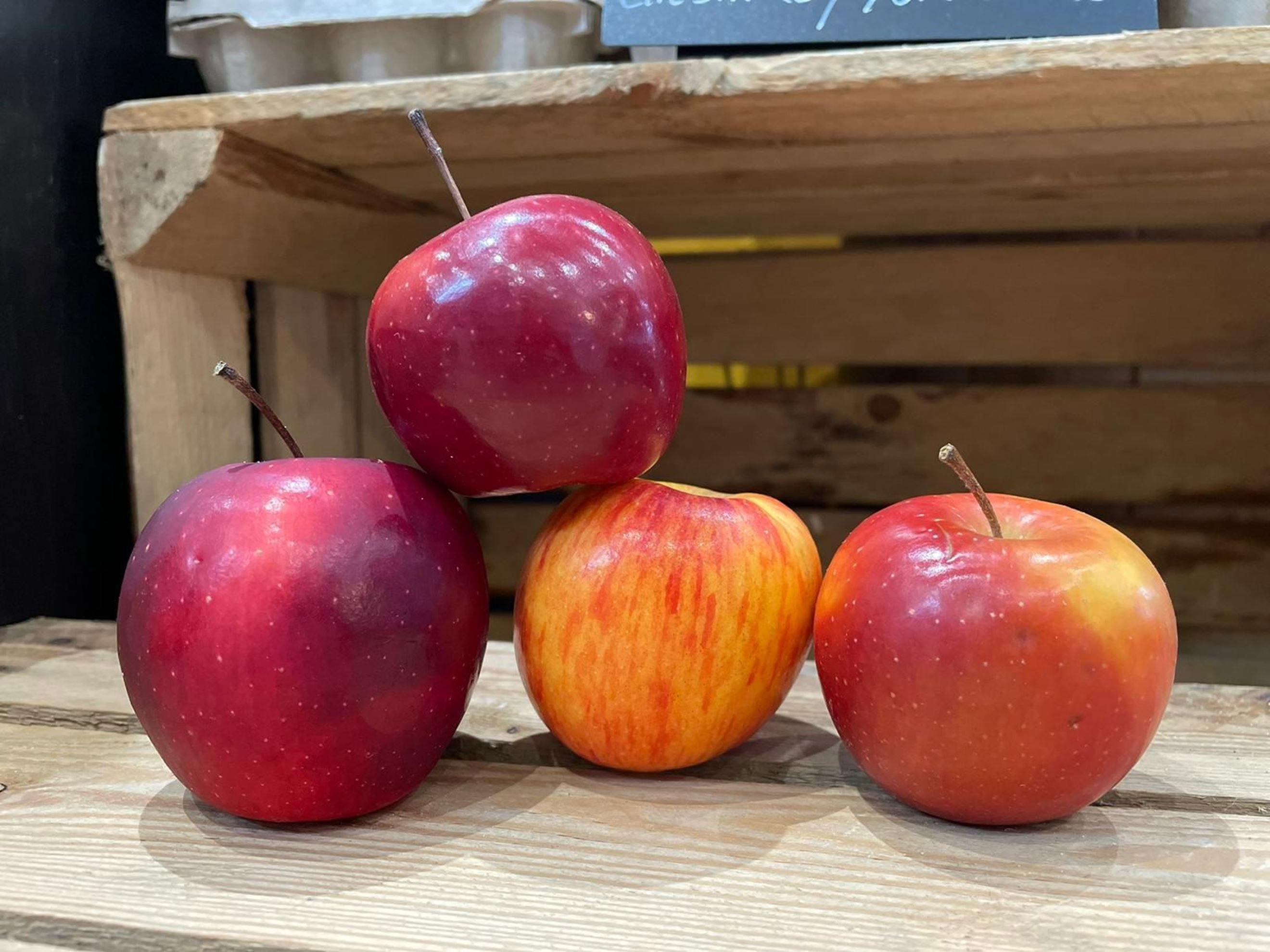 Image of the product