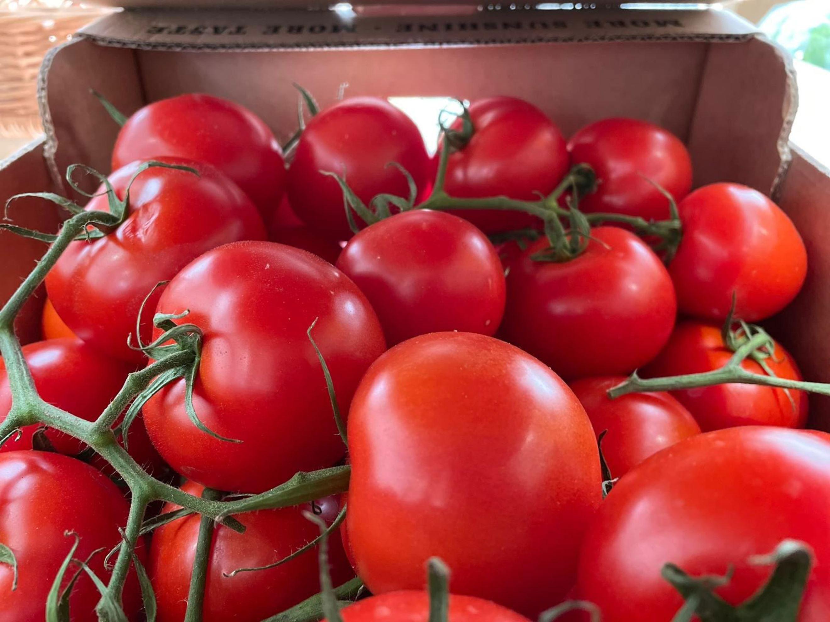 Image of the product