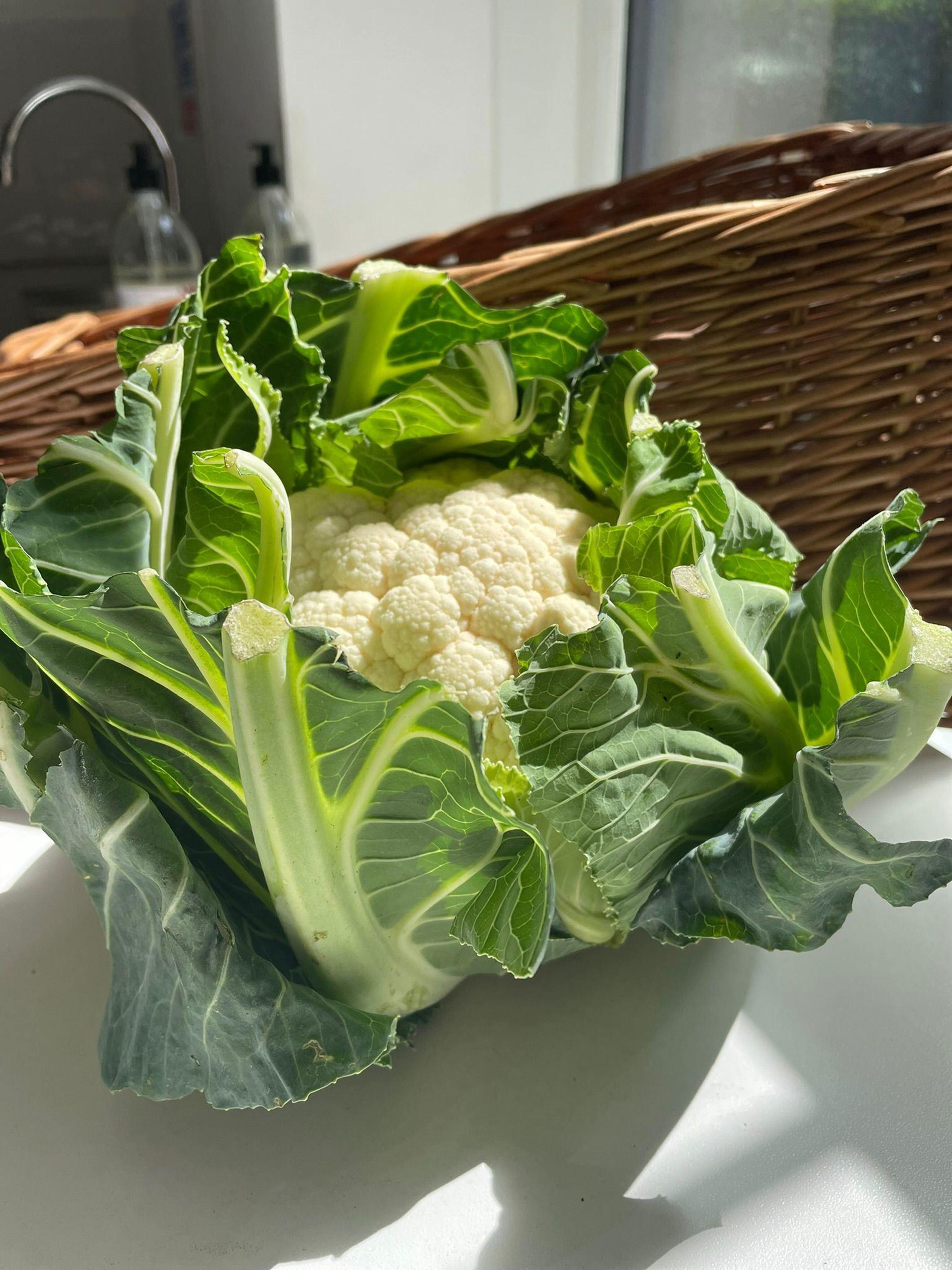 Image of the product