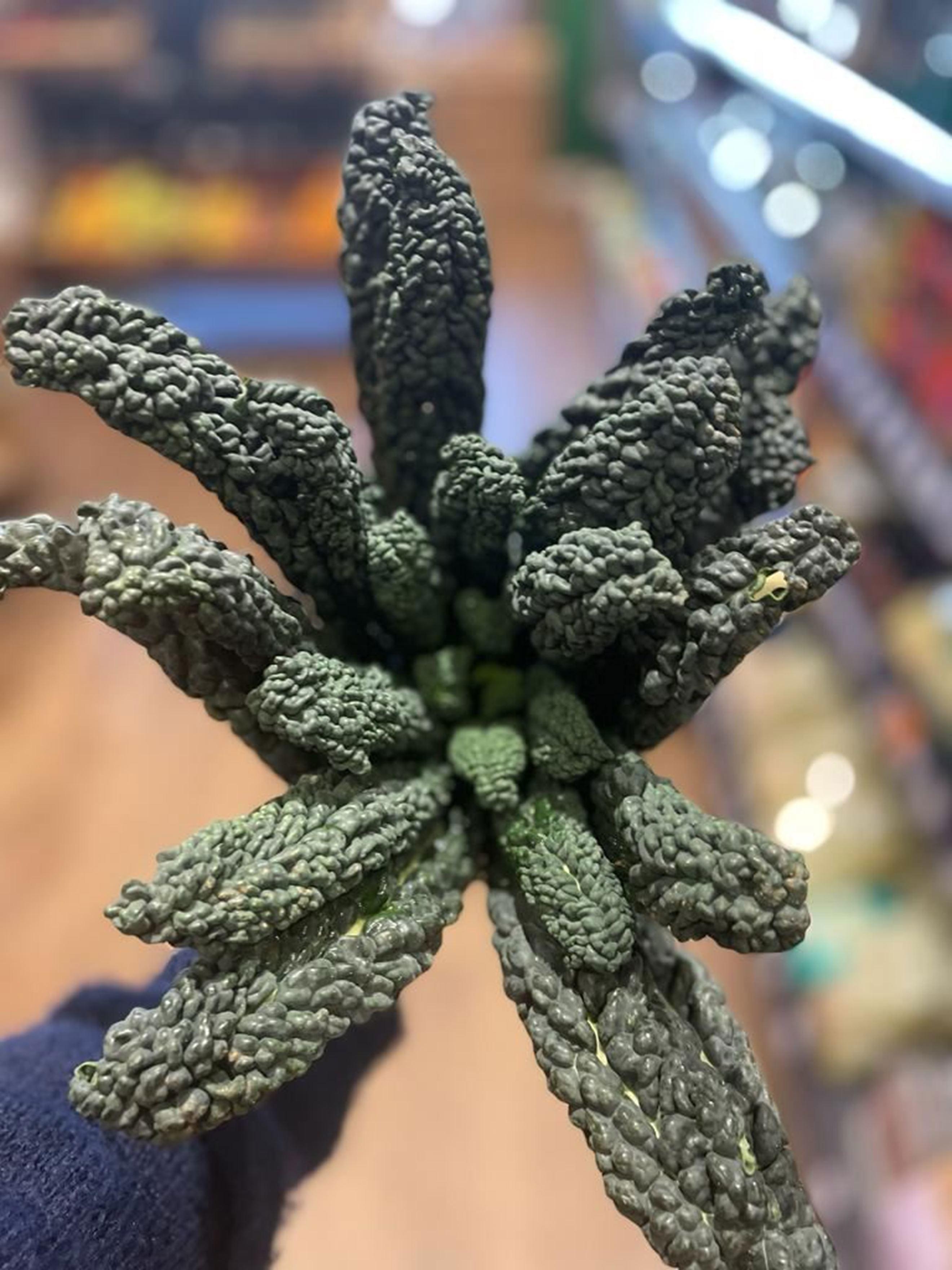 Image of the product