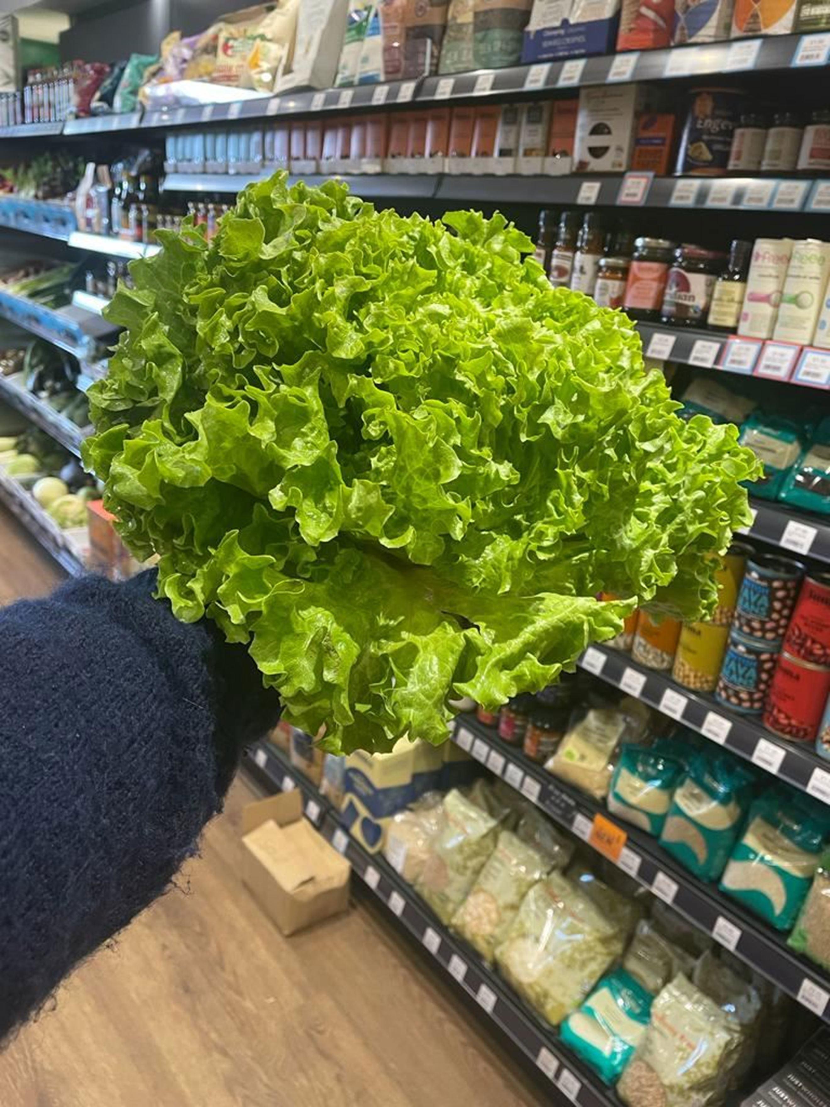 Image of the product