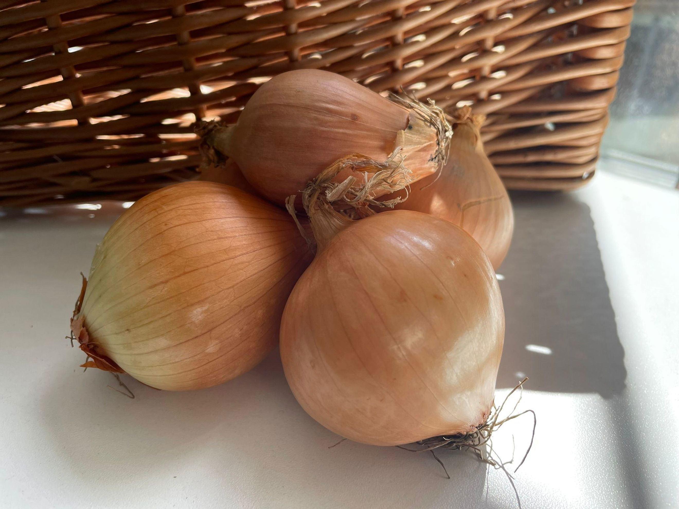 Image of the product