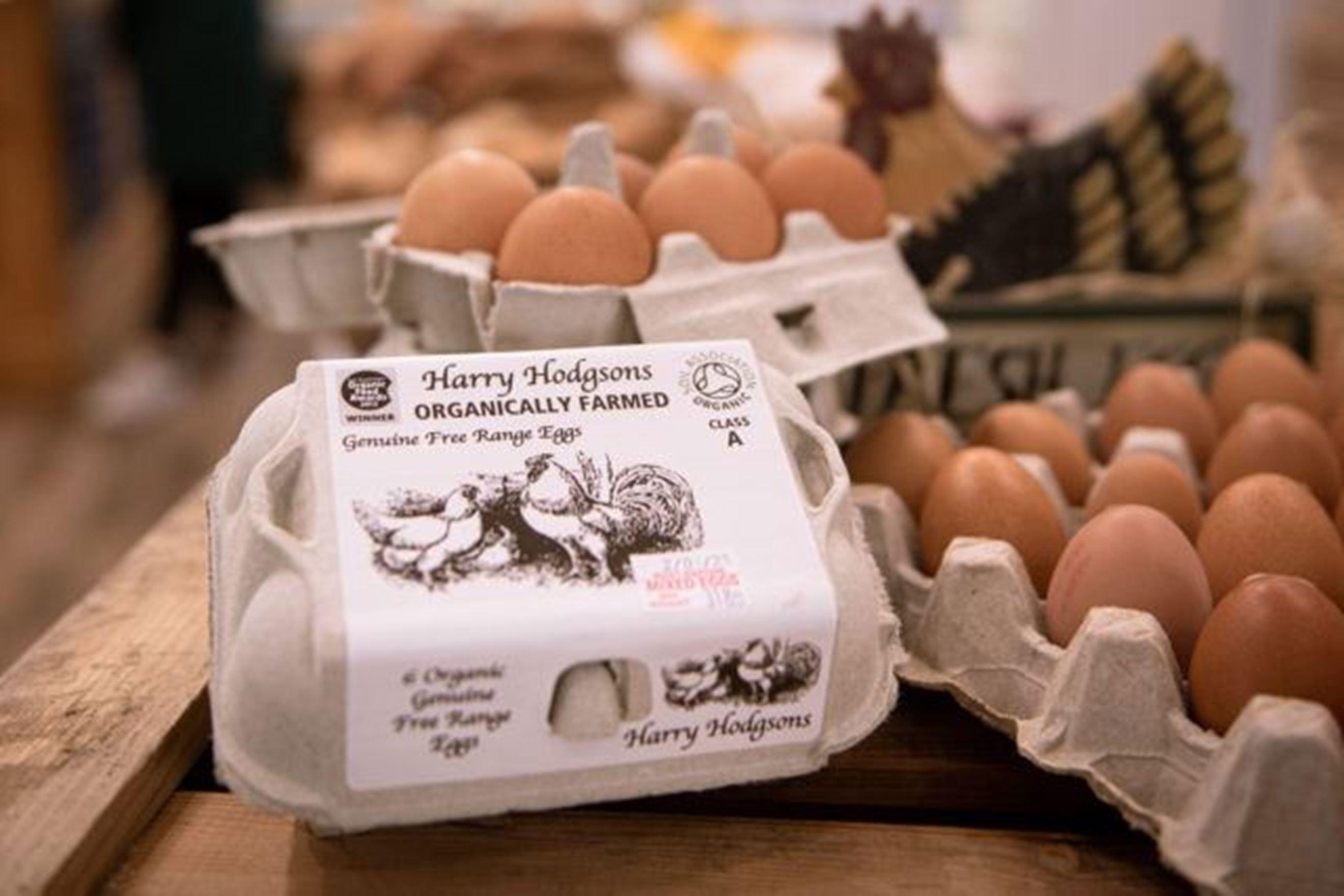 Image of the product