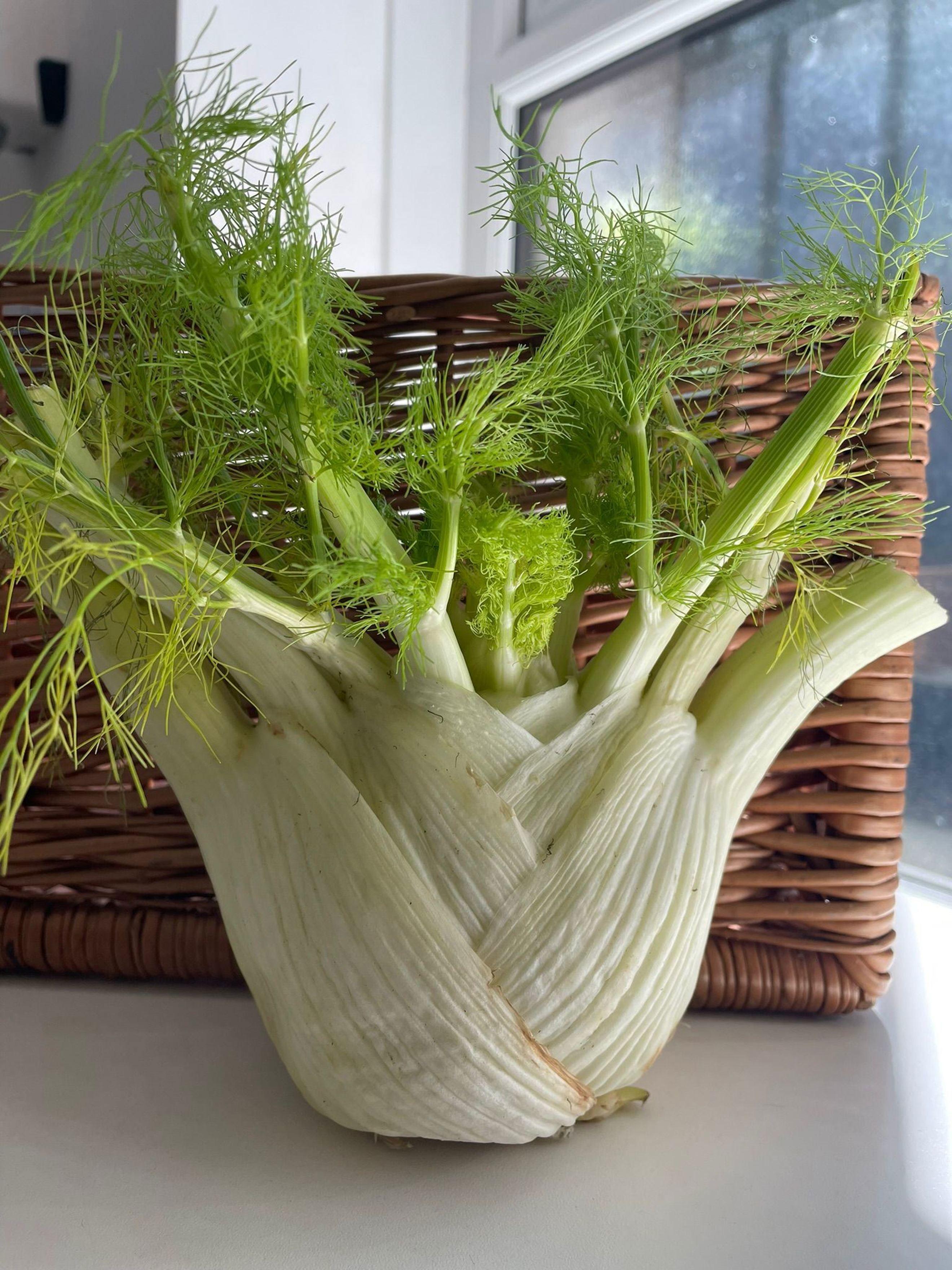 Image of the product